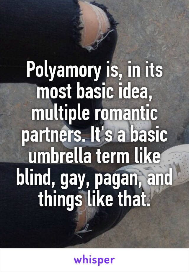 Polyamory is, in its most basic idea, multiple romantic partners. It's a basic umbrella term like blind, gay, pagan, and things like that.