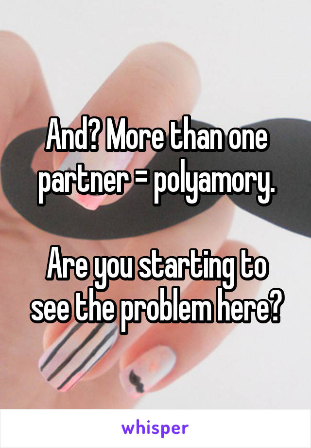 And? More than one partner = polyamory.

Are you starting to see the problem here?