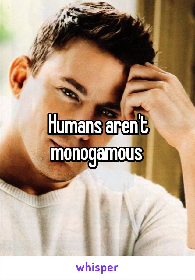 Humans aren't monogamous 