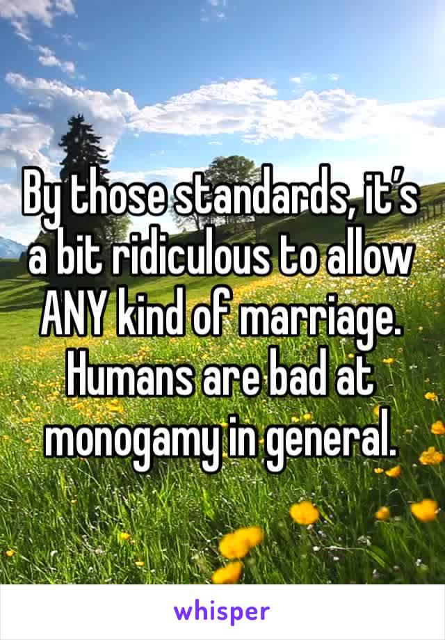 By those standards, it’s a bit ridiculous to allow ANY kind of marriage. Humans are bad at monogamy in general.