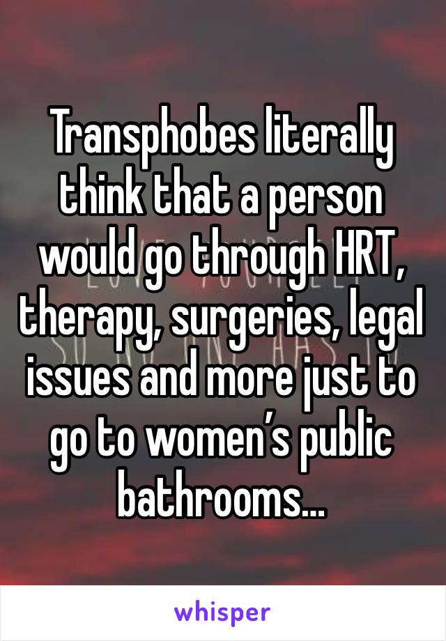 Transphobes literally think that a person would go through HRT, therapy, surgeries, legal issues and more just to go to women’s public bathrooms…