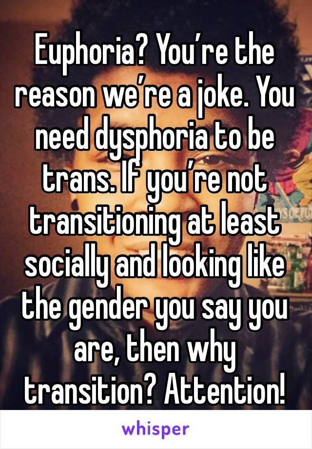 Euphoria? You’re the reason we’re a joke. You need dysphoria to be trans. If you’re not transitioning at least socially and looking like the gender you say you are, then why transition? Attention!