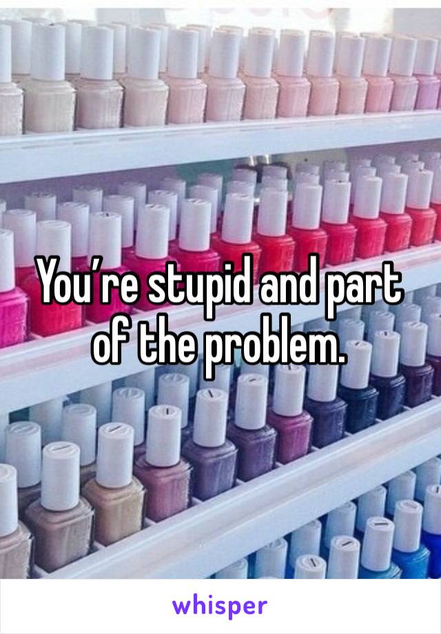 You’re stupid and part of the problem.