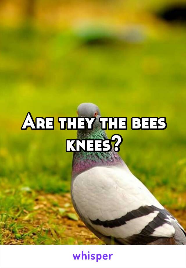 Are they the bees knees?