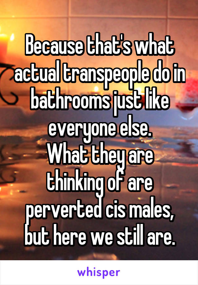 Because that's what actual transpeople do in bathrooms just like everyone else.
What they are thinking of are perverted cis males, but here we still are.