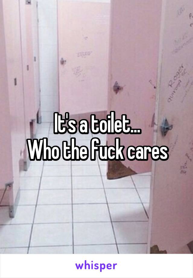 It's a toilet...
Who the fuck cares