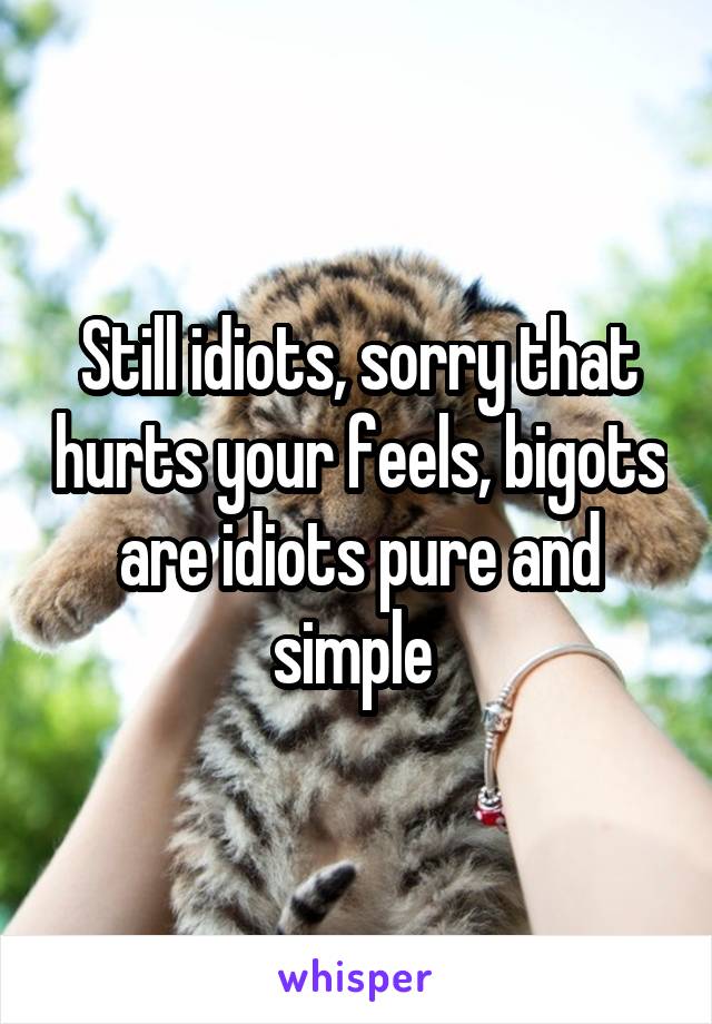 Still idiots, sorry that hurts your feels, bigots are idiots pure and simple 