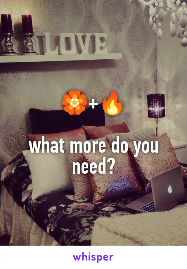 🏵️+🔥

what more do you need?