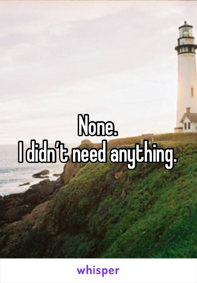 None.
I didn’t need anything. 