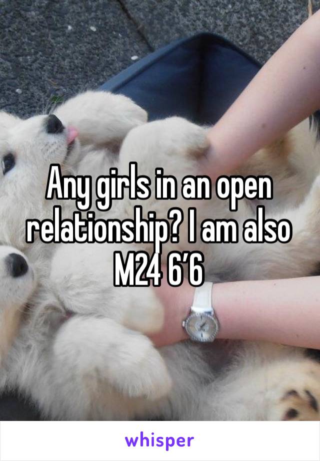 Any girls in an open relationship? I am also M24 6’6