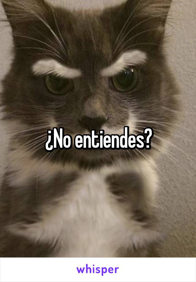 ¿No entiendes?