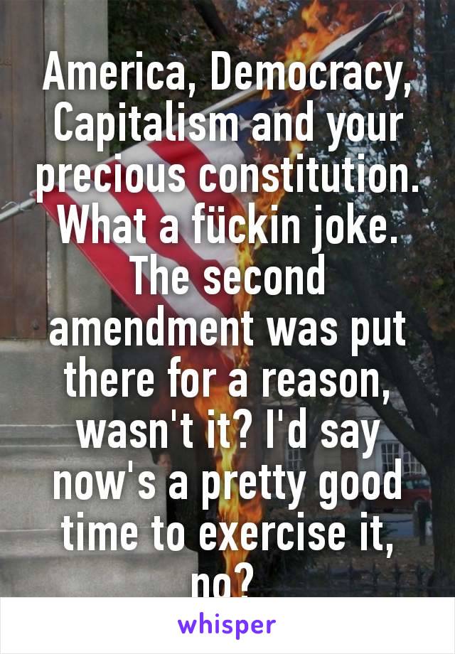 America, Democracy, Capitalism and your precious constitution. What a fückin joke. The second amendment was put there for a reason, wasn't it? I'd say now's a pretty good time to exercise it, no? 