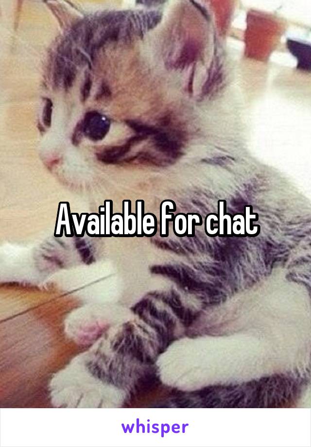 Available for chat