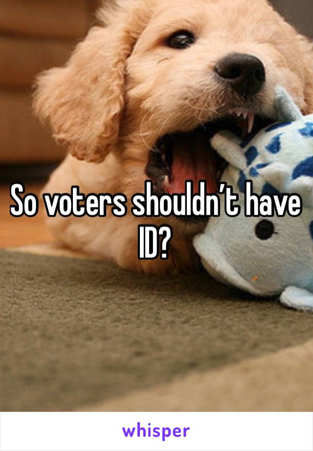 So voters shouldn’t have ID?