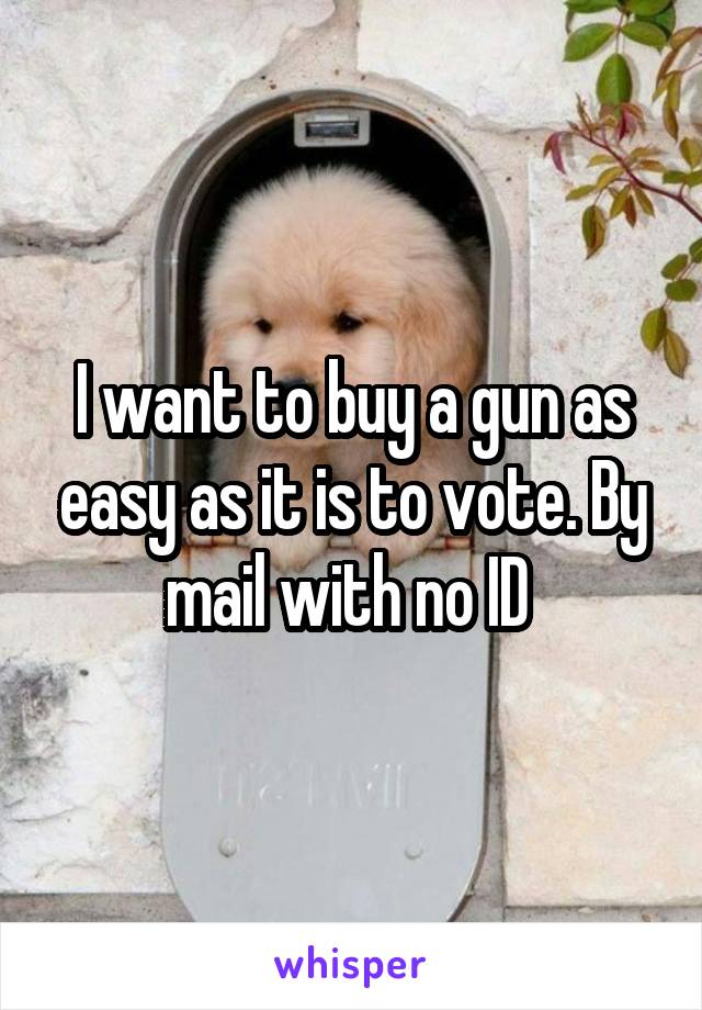 I want to buy a gun as easy as it is to vote. By mail with no ID 