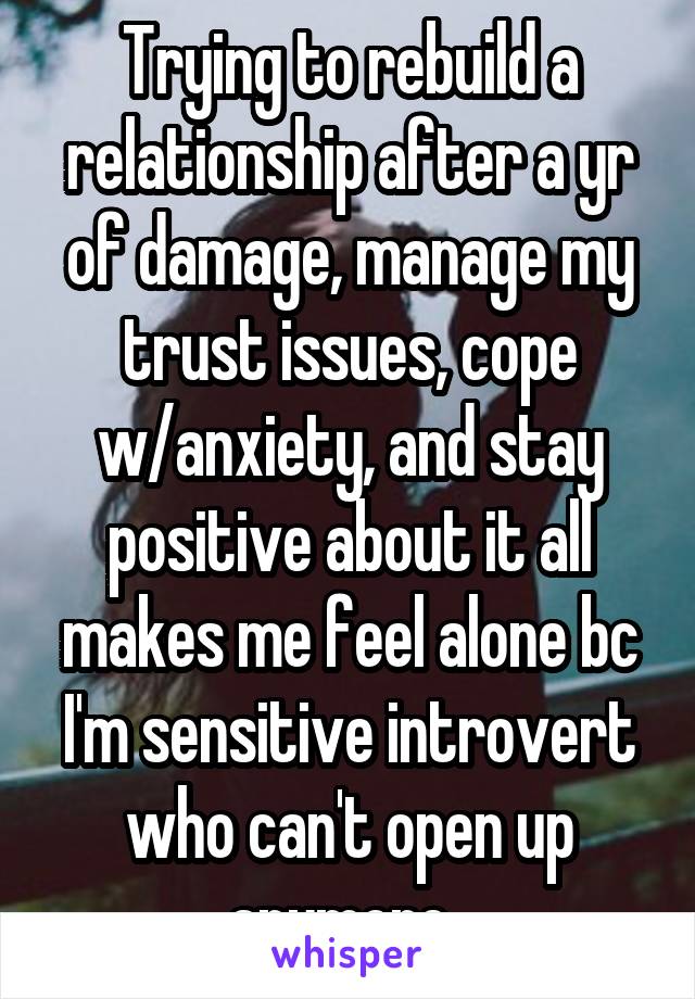 Trying to rebuild a relationship after a yr of damage, manage my trust issues, cope w/anxiety, and stay positive about it all makes me feel alone bc I'm sensitive introvert who can't open up anymore. 