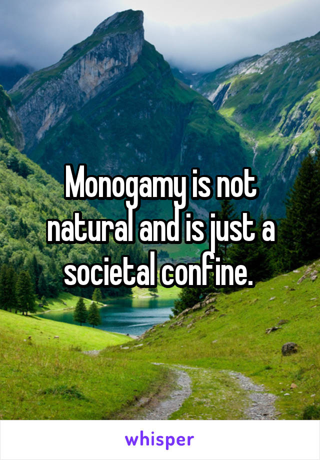 Monogamy is not natural and is just a societal confine. 