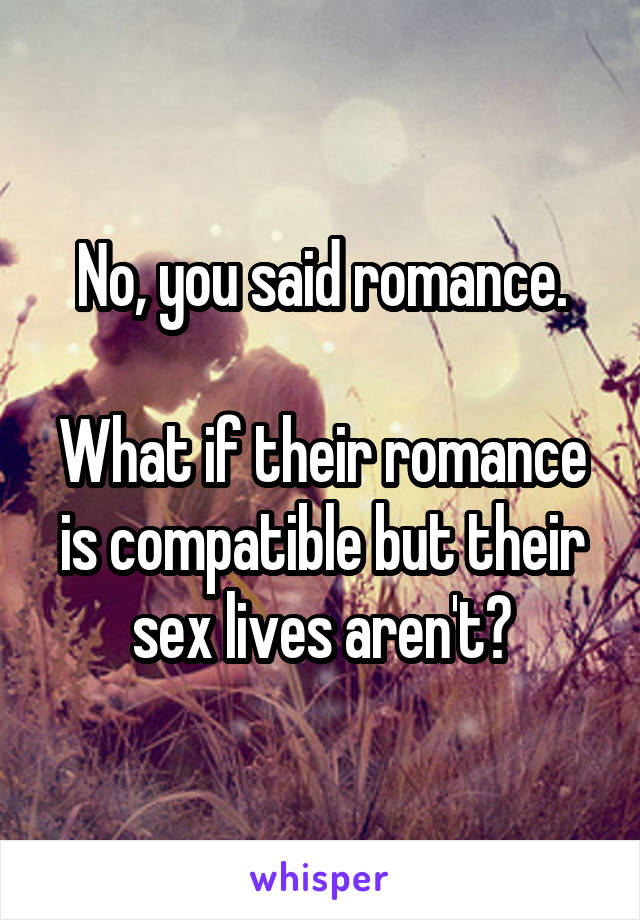 No, you said romance.

What if their romance is compatible but their sex lives aren't?