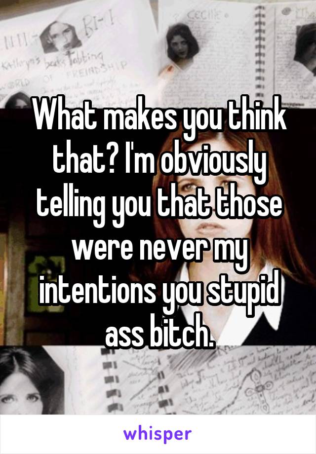 What makes you think that? I'm obviously telling you that those were never my intentions you stupid ass bitch.