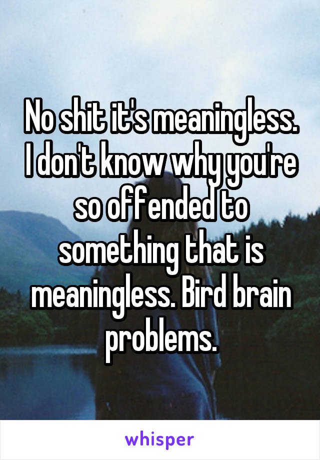 No shit it's meaningless. I don't know why you're so offended to something that is meaningless. Bird brain problems.