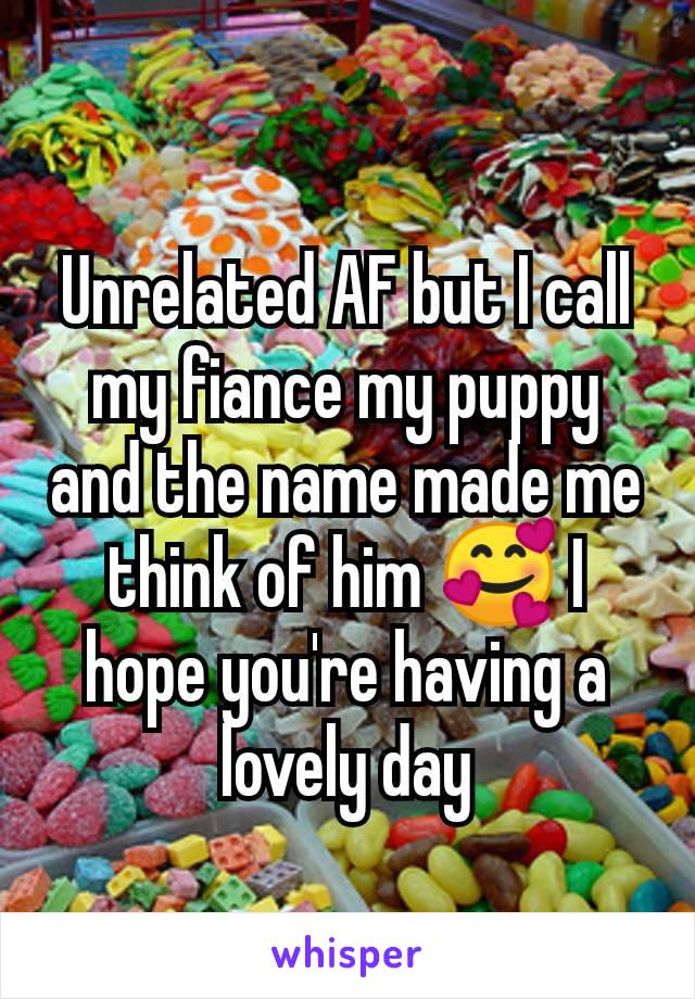 Unrelated AF but I call my fiance my puppy and the name made me think of him 🥰 I hope you're having a lovely day