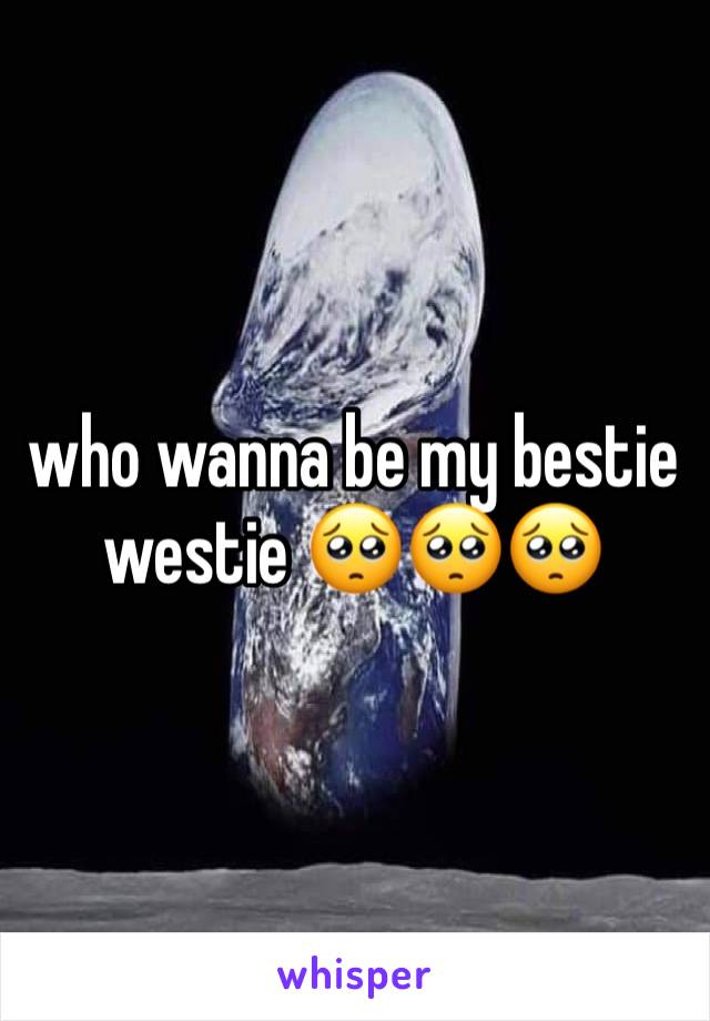 who wanna be my bestie westie 🥺🥺🥺