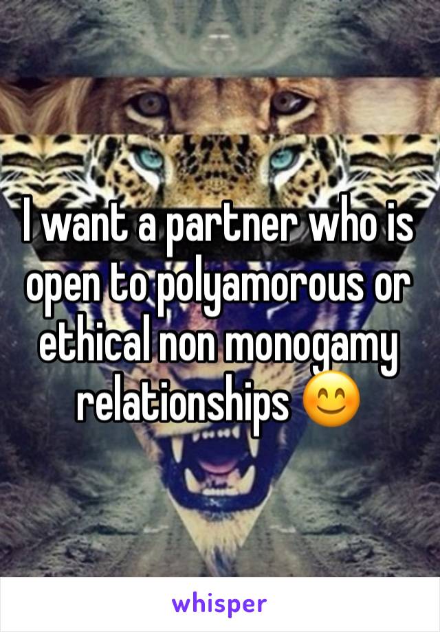 I want a partner who is open to polyamorous or ethical non monogamy relationships 😊 