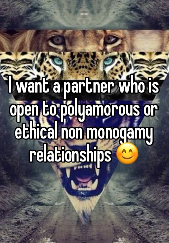 I want a partner who is open to polyamorous or ethical non monogamy relationships 😊 