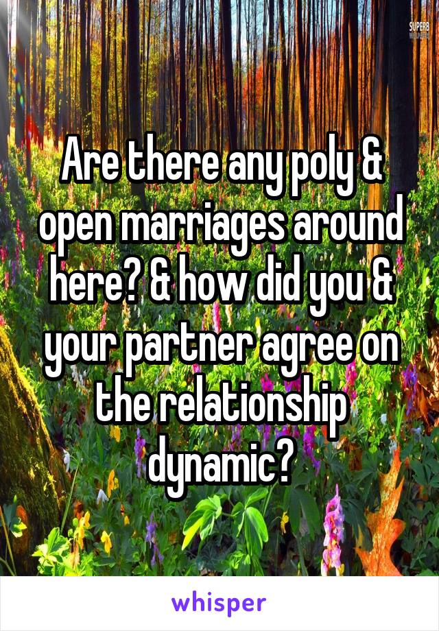 Are there any poly & open marriages around here? & how did you & your partner agree on the relationship dynamic?