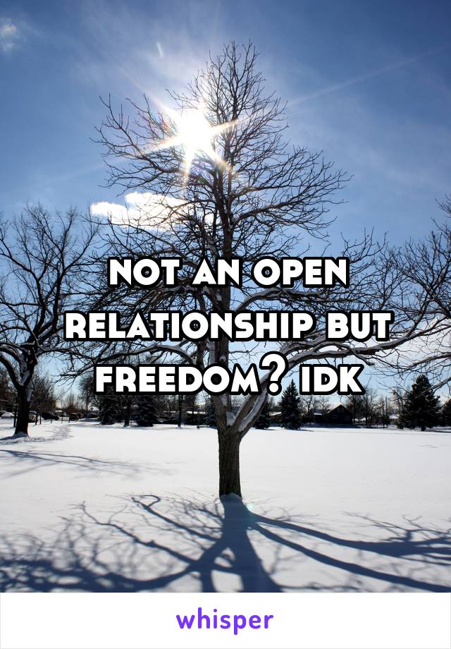 not an open relationship but freedom? idk