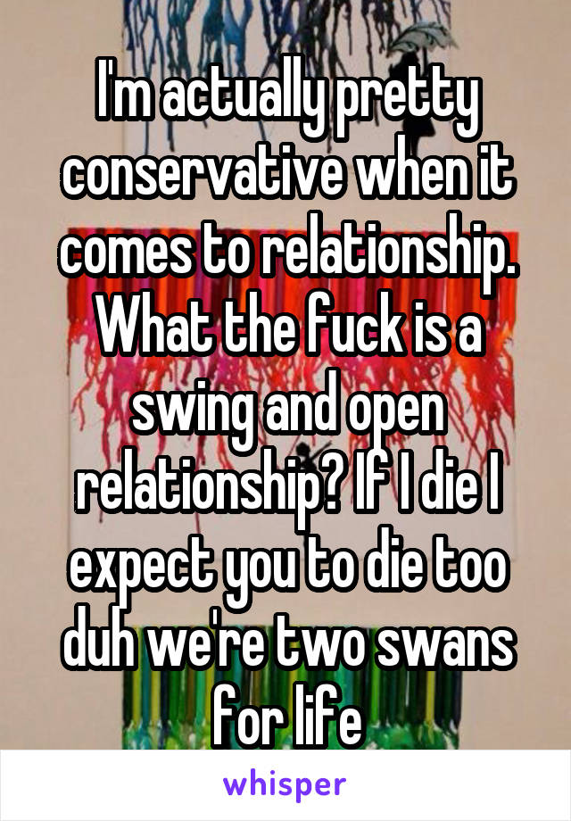 I'm actually pretty conservative when it comes to relationship. What the fuck is a swing and open relationship? If I die I expect you to die too duh we're two swans for life