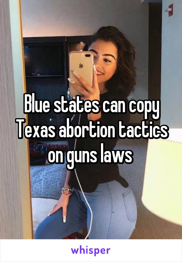 Blue states can copy Texas abortion tactics on guns laws 