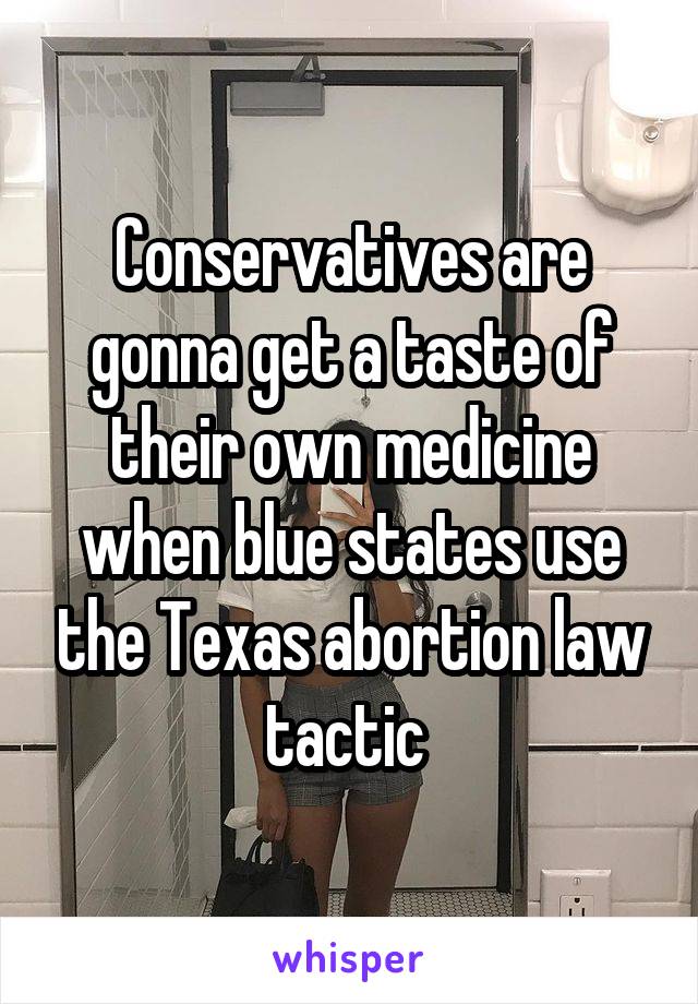 Conservatives are gonna get a taste of their own medicine when blue states use the Texas abortion law tactic 