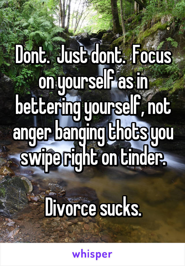 Dont.  Just dont.  Focus on yourself as in bettering yourself, not anger banging thots you swipe right on tinder.

Divorce sucks.