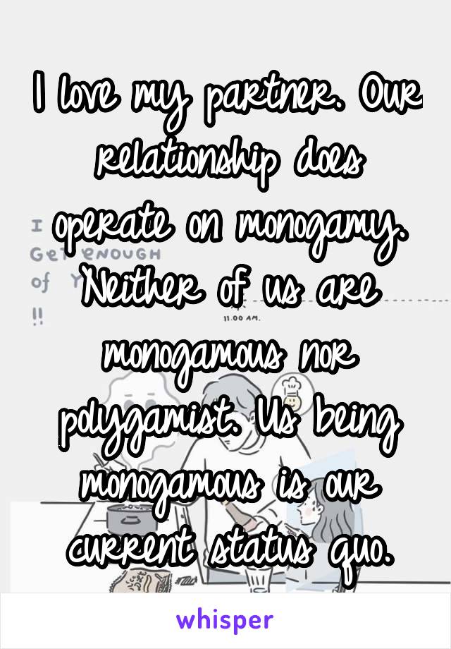 I love my partner. Our relationship does operate on monogamy. Neither of us are monogamous nor polygamist. Us being monogamous is our current status quo.