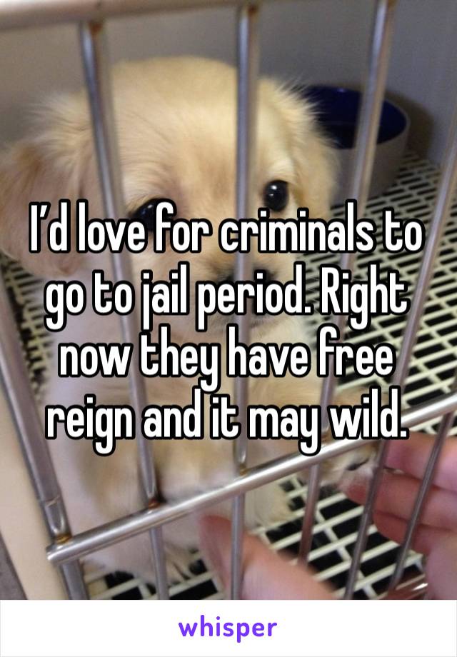 I’d love for criminals to go to jail period. Right now they have free reign and it may wild. 