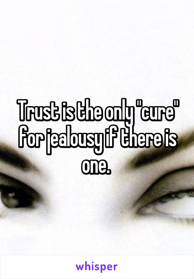 Trust is the only "cure" for jealousy if there is one. 