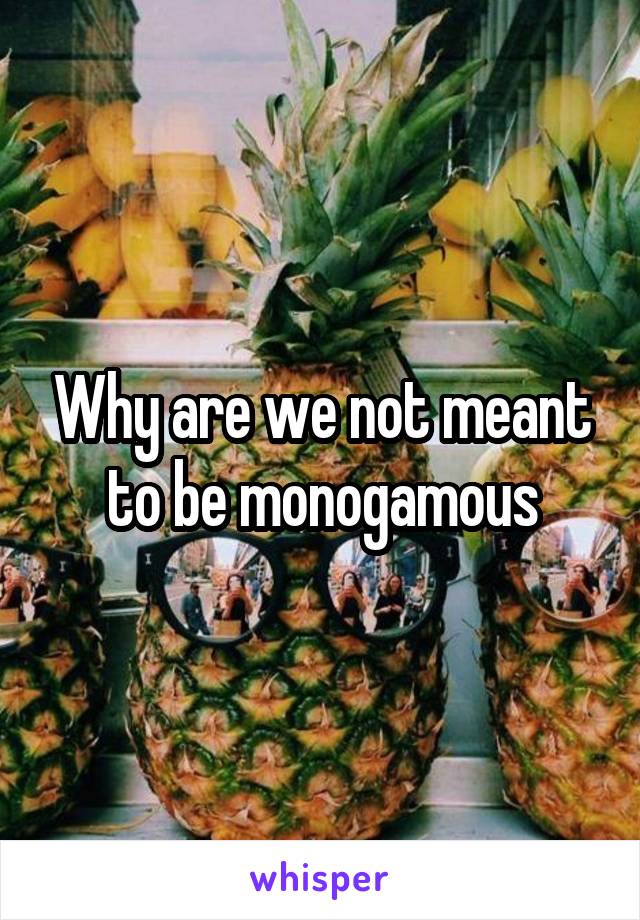 Why are we not meant to be monogamous