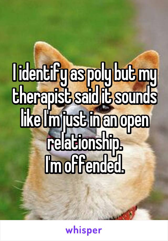 I identify as poly but my therapist said it sounds like I'm just in an open relationship.
I'm offended.