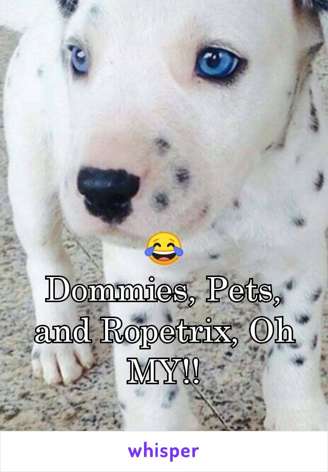 😂
Dommies, Pets, and Ropetrix, Oh MY!!