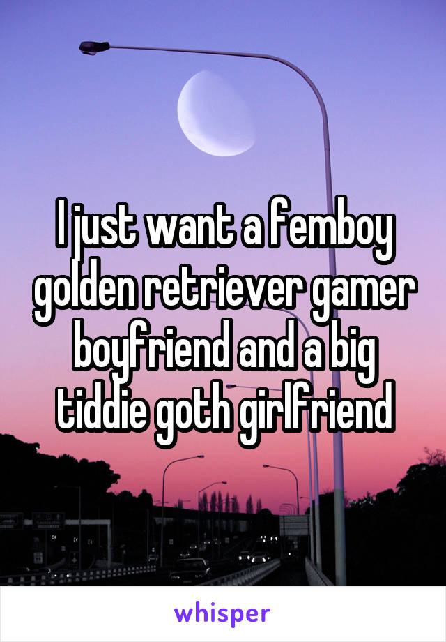 I just want a femboy golden retriever gamer boyfriend and a big tiddie goth girlfriend