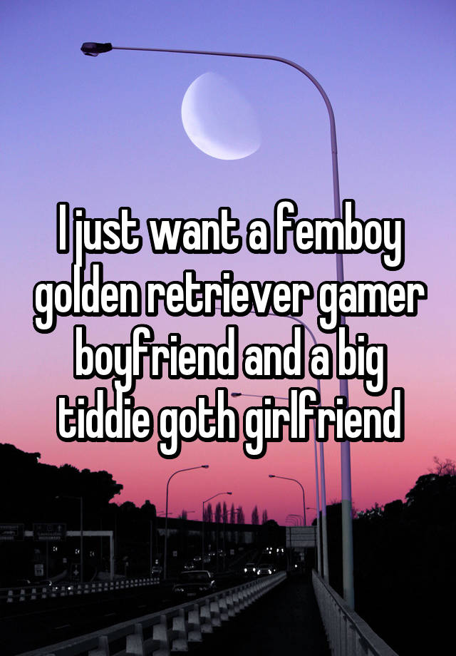 I just want a femboy golden retriever gamer boyfriend and a big tiddie goth girlfriend