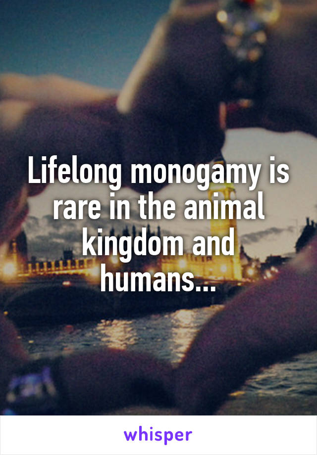 Lifelong monogamy is rare in the animal kingdom and humans...