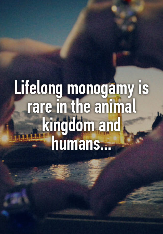 Lifelong monogamy is rare in the animal kingdom and humans...