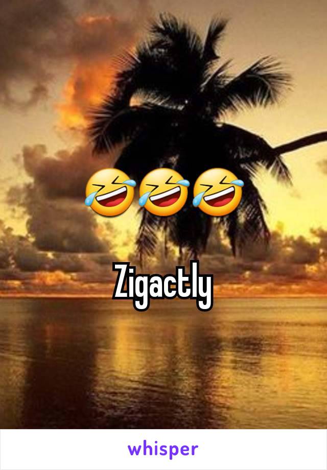 🤣🤣🤣

Zigactly