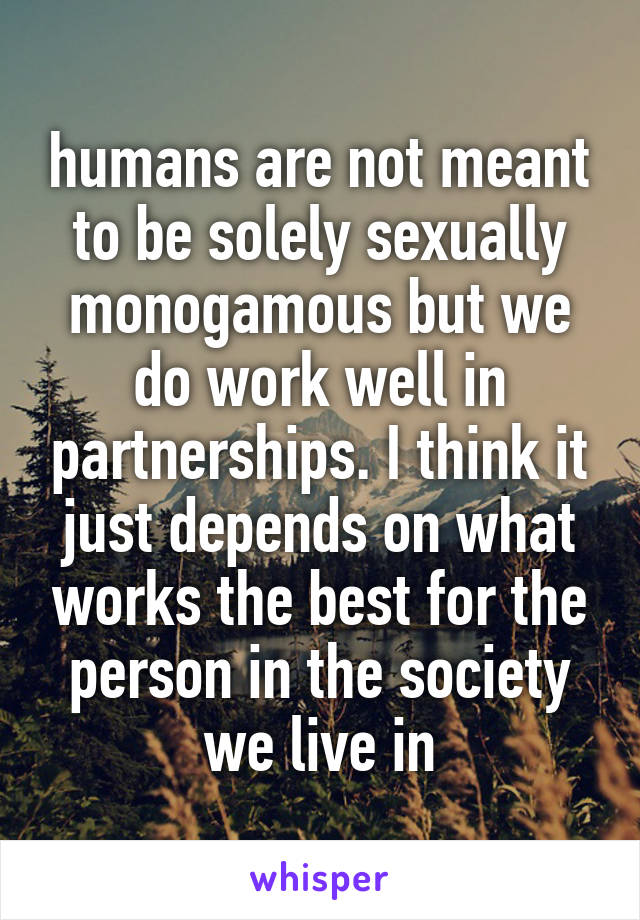 humans are not meant to be solely sexually monogamous but we do work well in partnerships. I think it just depends on what works the best for the person in the society we live in