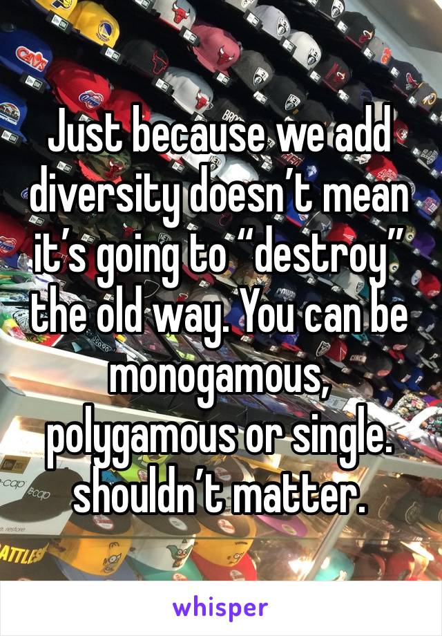 Just because we add diversity doesn’t mean it’s going to “destroy” the old way. You can be monogamous, polygamous or single. shouldn’t matter. 