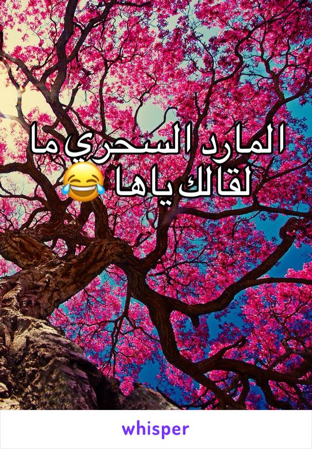 المارد السحري ما لقالك ياها 😂