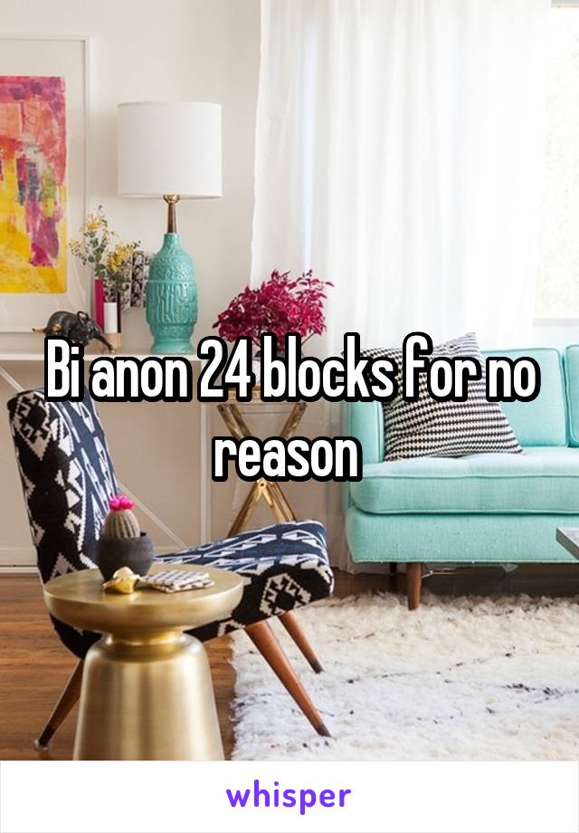 Bi anon 24 blocks for no reason 