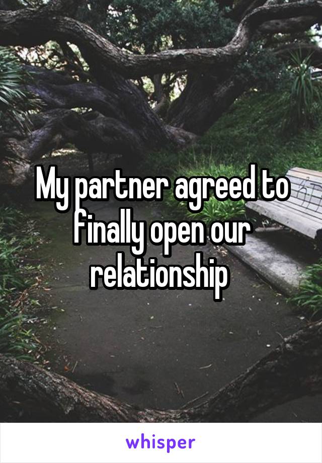 My partner agreed to finally open our relationship 